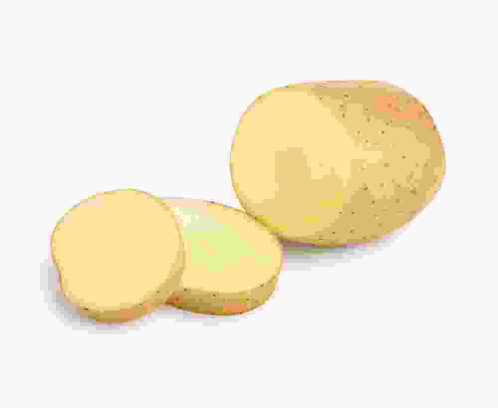 Shop Secondary Image Shop Secondary Image