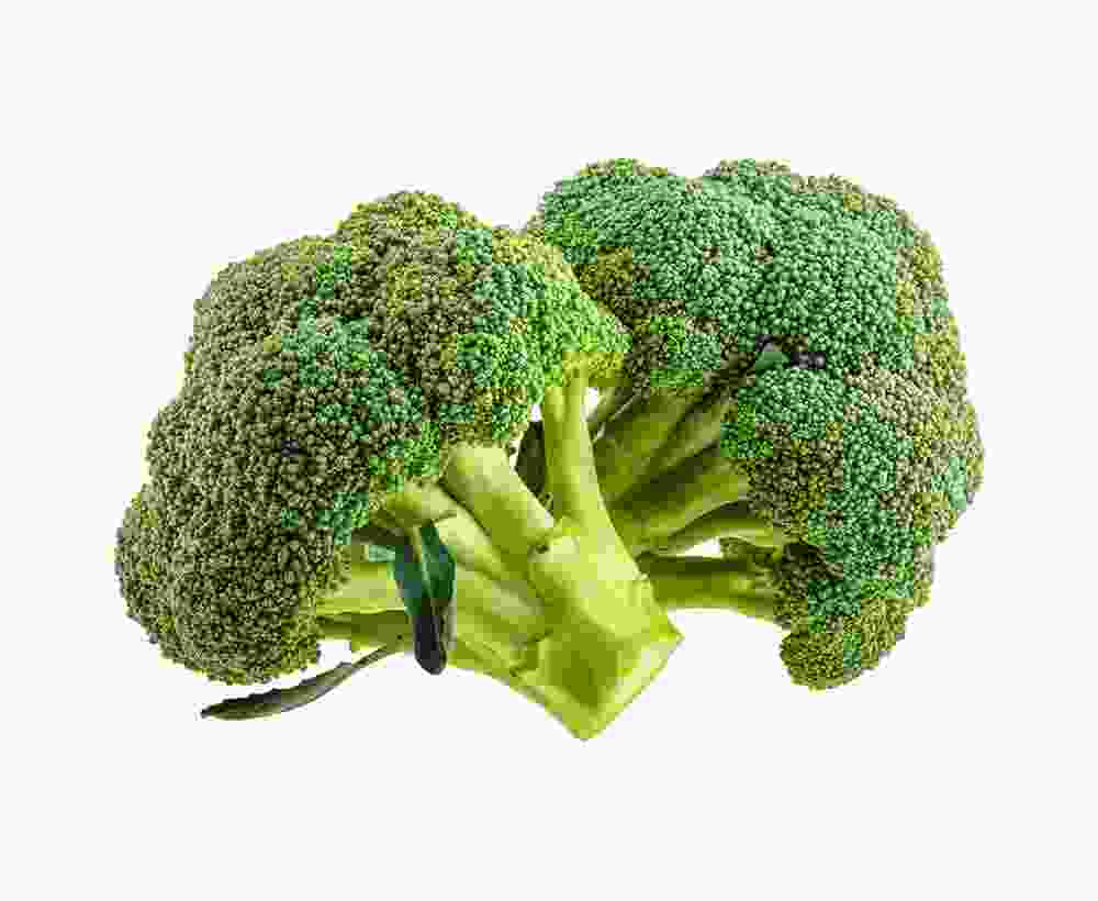 Shop Secondary Image Shop Secondary Image